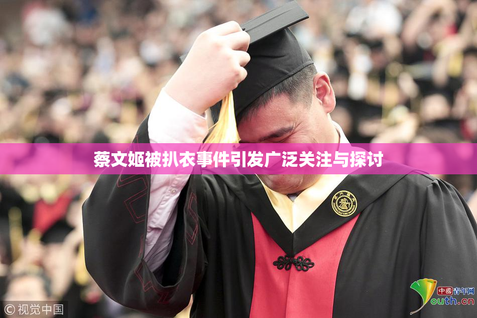 蔡文姬被扒衣事件引发广泛关注与探讨