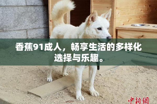 香蕉91成人，畅享生活的多样化选择与乐趣。