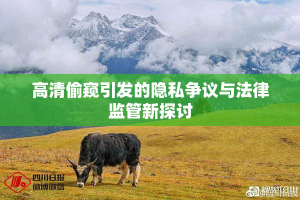高清偷窥引发的隐私争议与法律监管新探讨