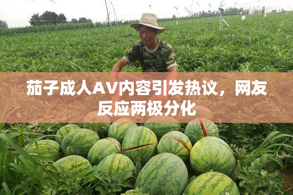 茄子成人AV内容引发热议，网友反应两极分化