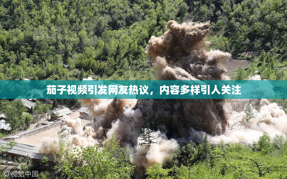 茄子视频引发网友热议，内容多样引人关注