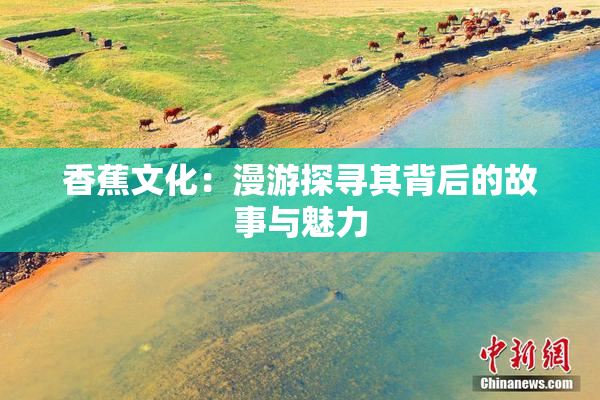 香蕉文化：漫游探寻其背后的故事与魅力