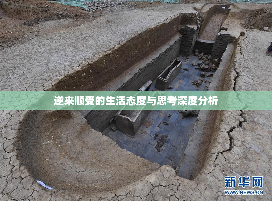 逆来顺受的生活态度与思考深度分析