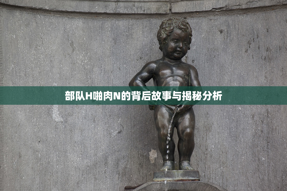 部队H啪肉N的背后故事与揭秘分析