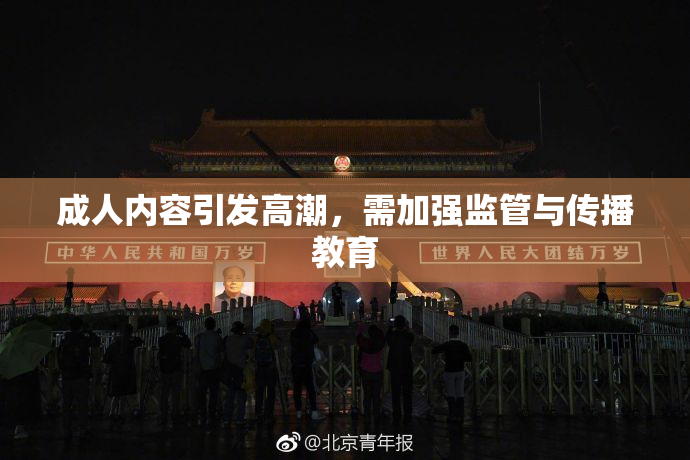 成人内容引发高潮，需加强监管与传播教育