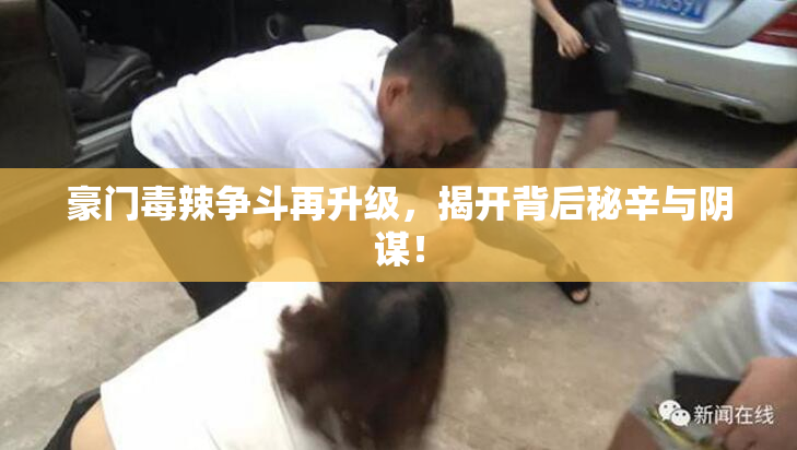 豪门毒辣争斗再升级，揭开背后秘辛与阴谋！
