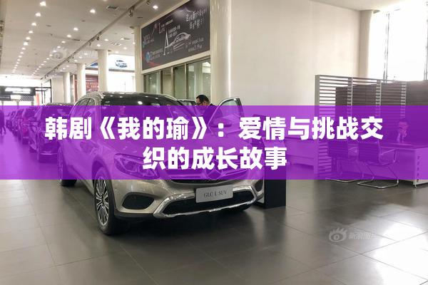 韩剧《我的瑜》：爱情与挑战交织的成长故事