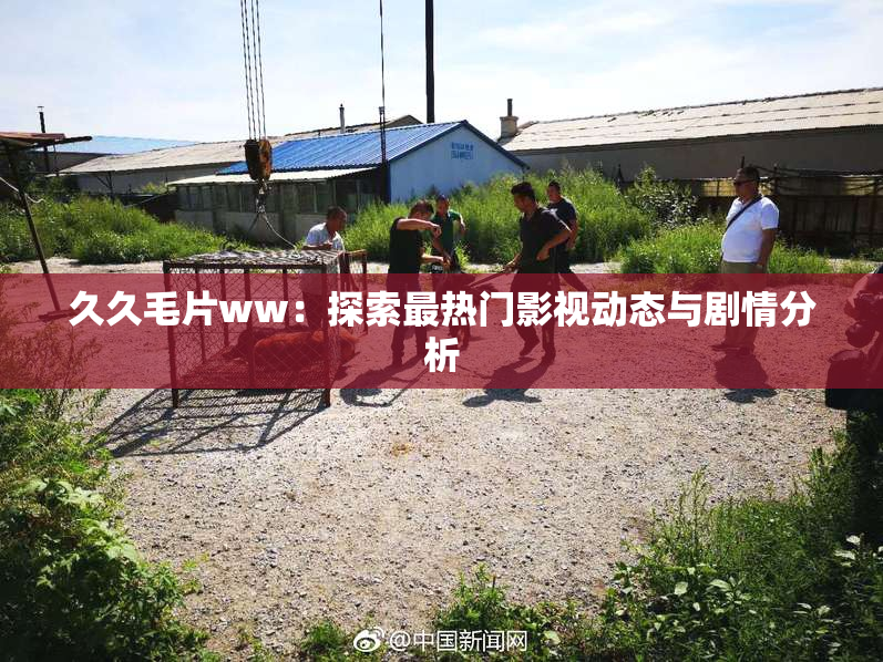 久久毛片ww：探索最热门影视动态与剧情分析