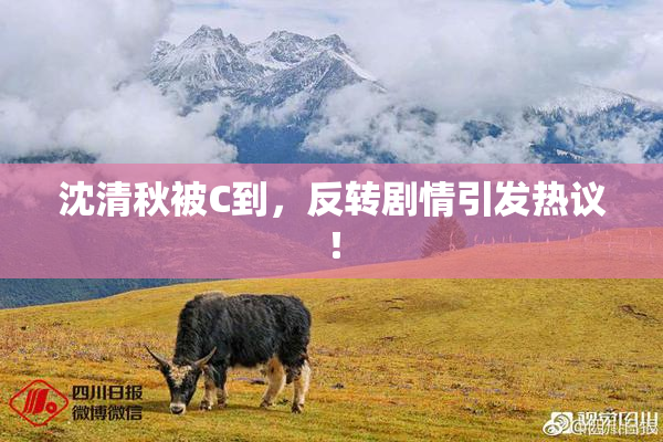 沈清秋被C到，反转剧情引发热议！