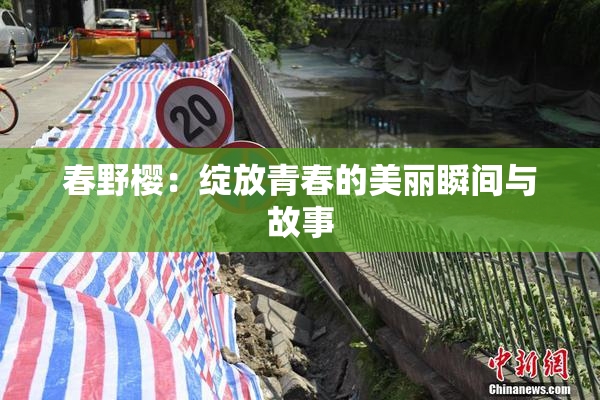 春野樱：绽放青春的美丽瞬间与故事
