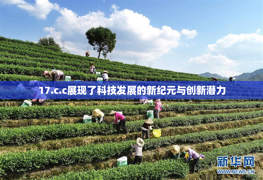 17.c.c展现了科技发展的新纪元与创新潜力