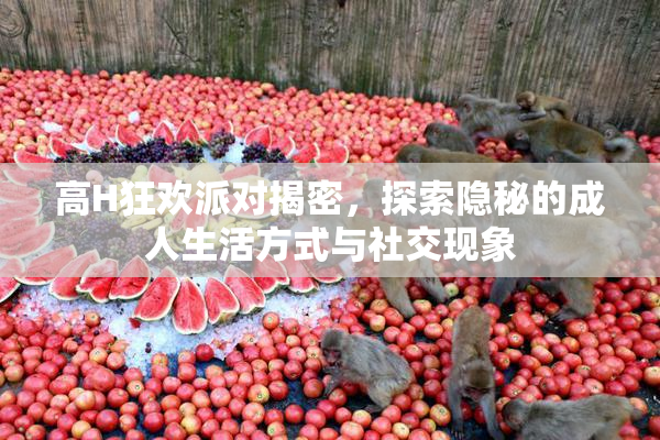 高H狂欢派对揭密，探索隐秘的成人生活方式与社交现象