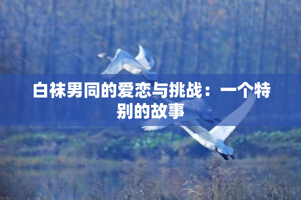 白袜男同的爱恋与挑战：一个特别的故事