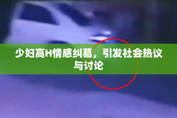 少妇高H情感纠葛，引发社会热议与讨论
