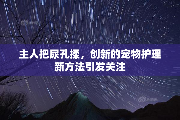 主人把尿孔揉，创新的宠物护理新方法引发关注