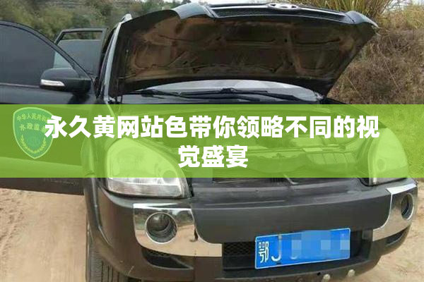 永久黄网站色带你领略不同的视觉盛宴