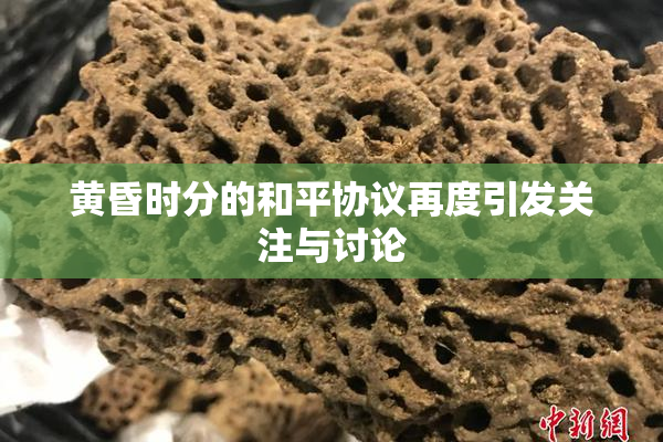 黄昏时分的和平协议再度引发关注与讨论