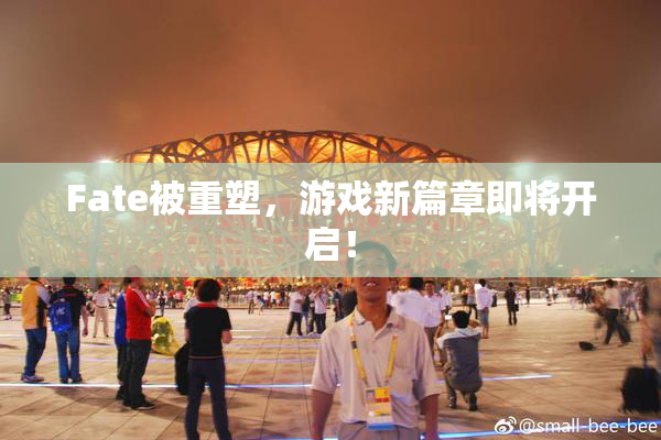 Fate被重塑，游戏新篇章即将开启！