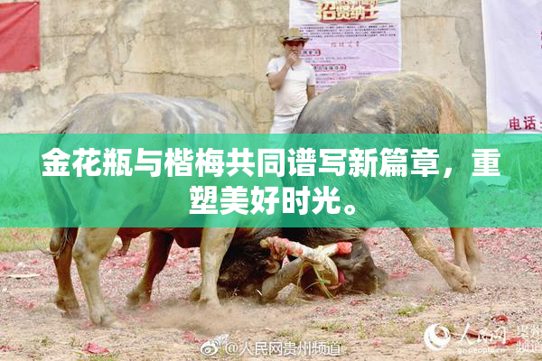 金花瓶与楷梅共同谱写新篇章，重塑美好时光。