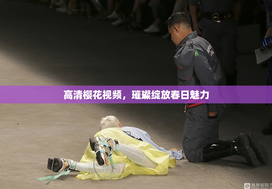 高清樱花视频，璀璨绽放春日魅力