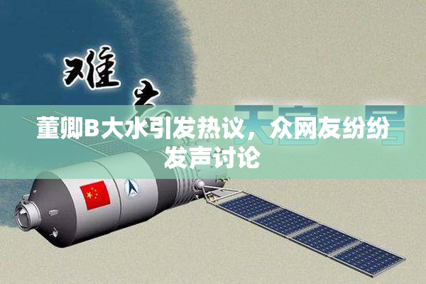 董卿B大水引发热议，众网友纷纷发声讨论