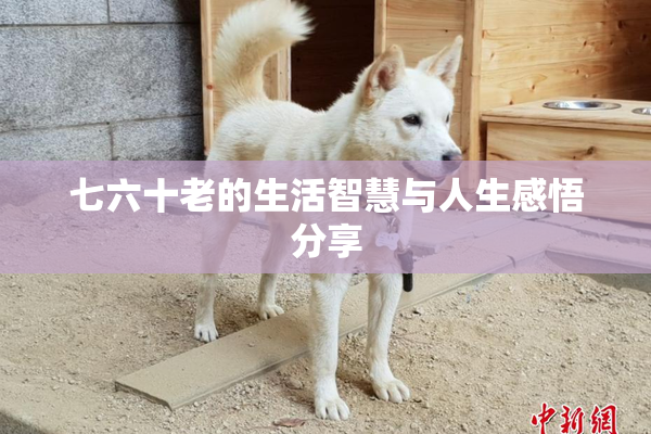 七六十老的生活智慧与人生感悟分享