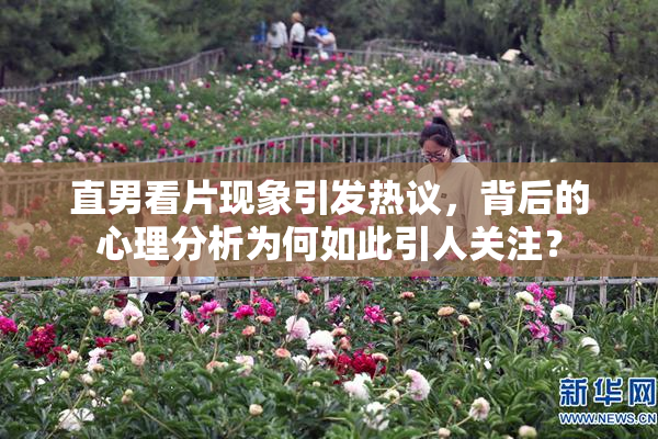 直男看片现象引发热议，背后的心理分析为何如此引人关注？