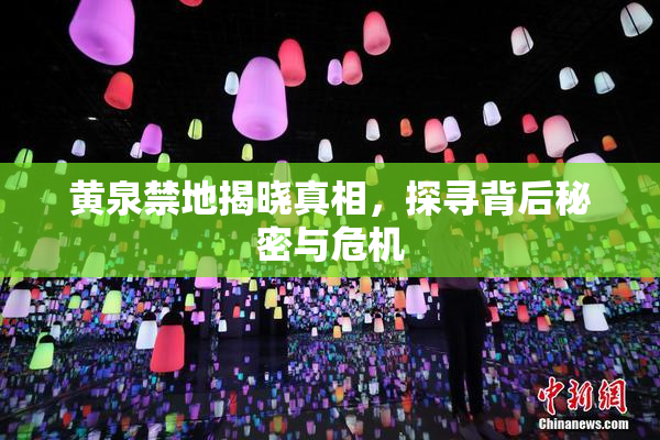 黄泉禁地揭晓真相，探寻背后秘密与危机