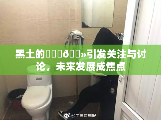 黑土的❌‌‌🐻引发关注与讨论，未来发展成焦点