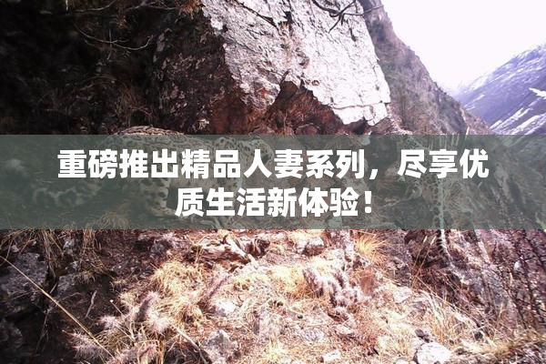 重磅推出精品人妻系列，尽享优质生活新体验！