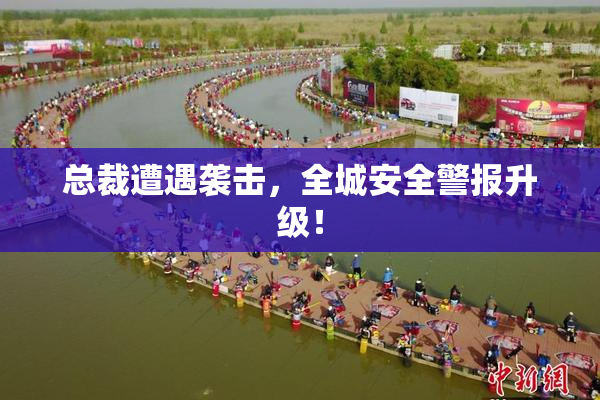 总裁遭遇袭击，全城安全警报升级！