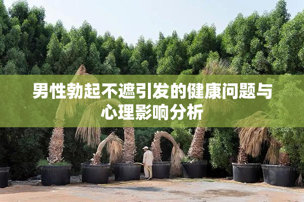 男性勃起不遮引发的健康问题与心理影响分析
