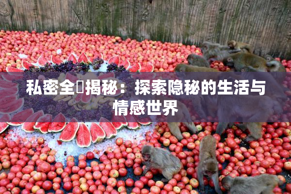 私密全婐揭秘：探索隐秘的生活与情感世界
