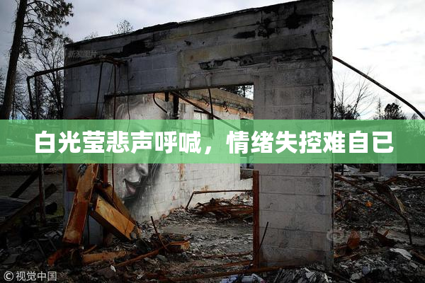 白光莹悲声呼喊，情绪失控难自已
