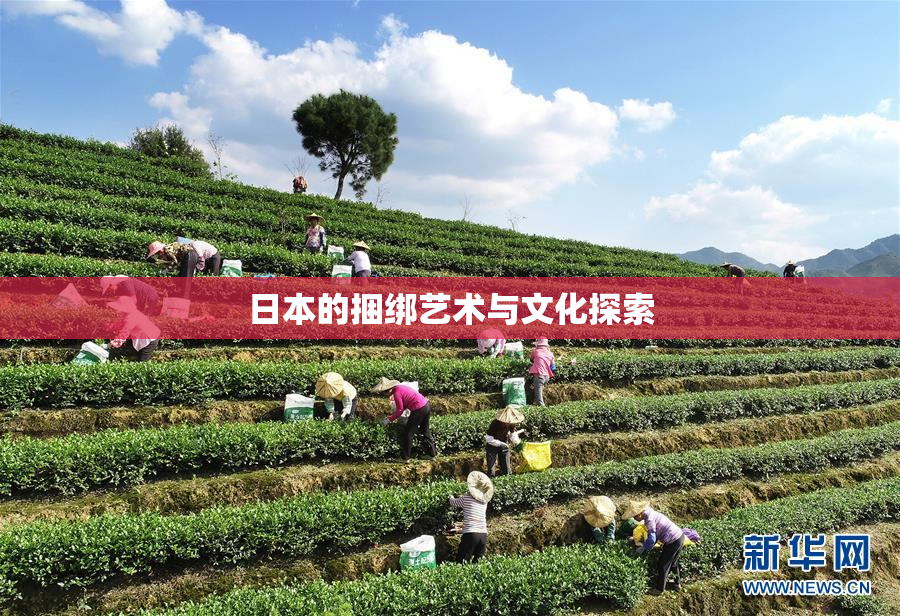 日本的捆绑艺术与文化探索