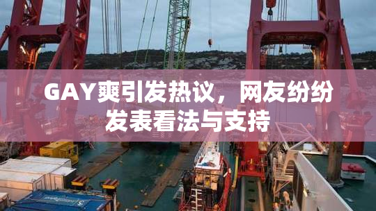 GAY爽引发热议，网友纷纷发表看法与支持
