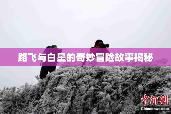 路飞与白星的奇妙冒险故事揭秘