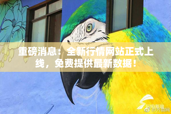 重磅消息：全新行情网站正式上线，免费提供最新数据！