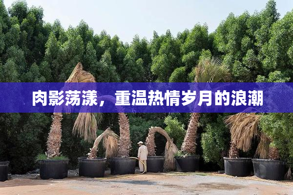 肉影荡漾，重温热情岁月的浪潮