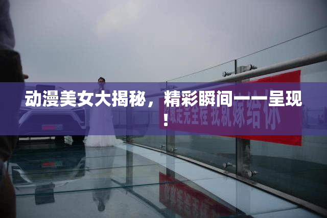 动漫美女大揭秘，精彩瞬间一一呈现！