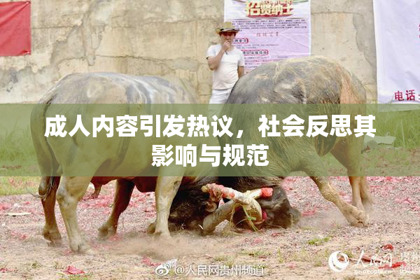 成人内容引发热议，社会反思其影响与规范