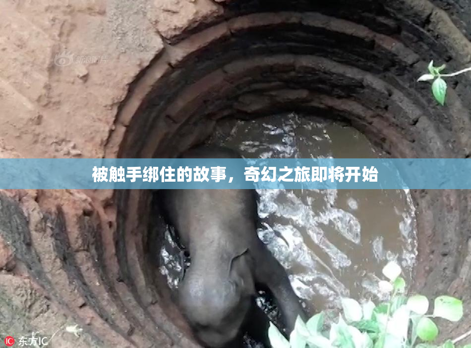 被触手绑住的故事，奇幻之旅即将开始