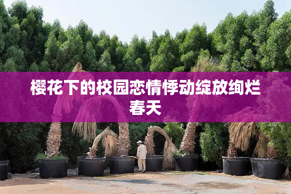 樱花下的校园恋情悸动绽放绚烂春天
