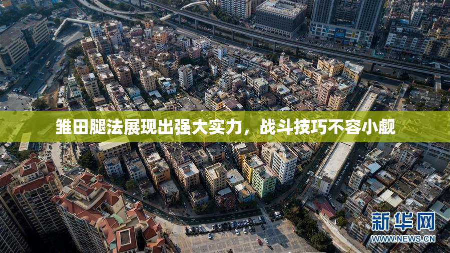 雏田腿法展现出强大实力，战斗技巧不容小觑
