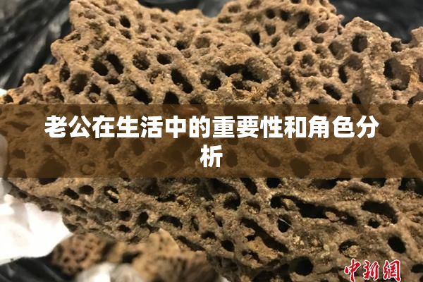 老公在生活中的重要性和角色分析