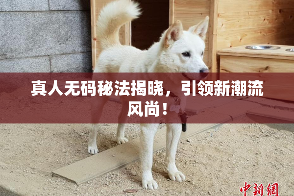 真人无码秘法揭晓，引领新潮流风尚！