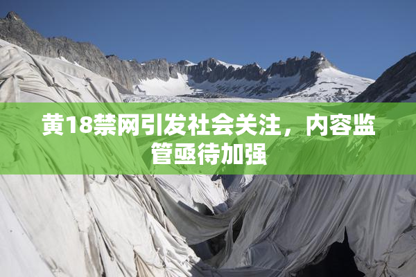 黄18禁网引发社会关注，内容监管亟待加强