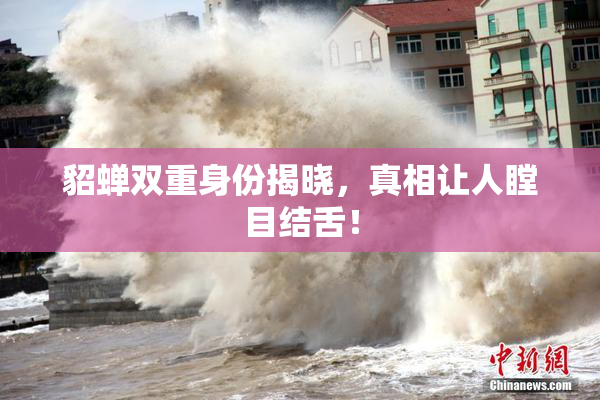 貂蝉双重身份揭晓，真相让人瞠目结舌！