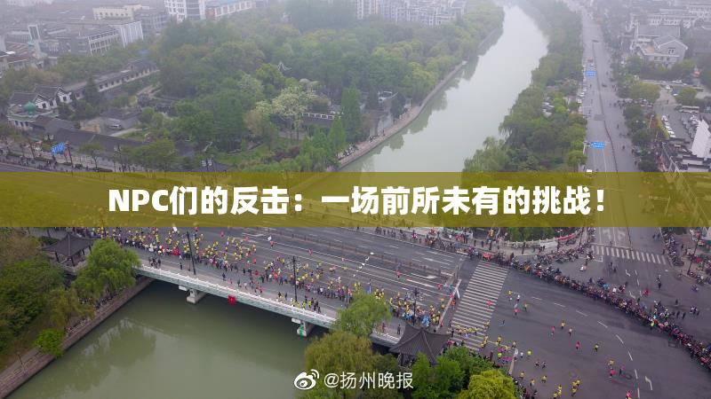 NPC们的反击：一场前所未有的挑战！