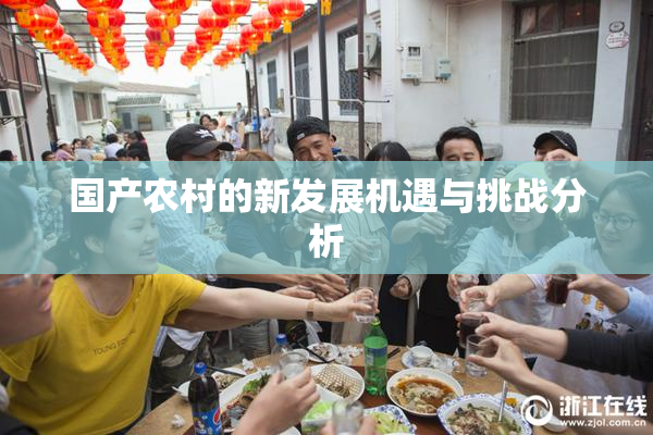 国产农村的新发展机遇与挑战分析